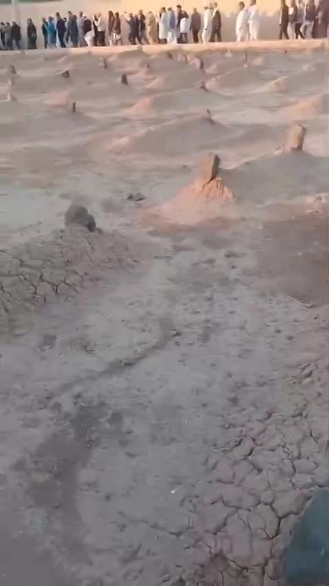 عمره ديسمبر