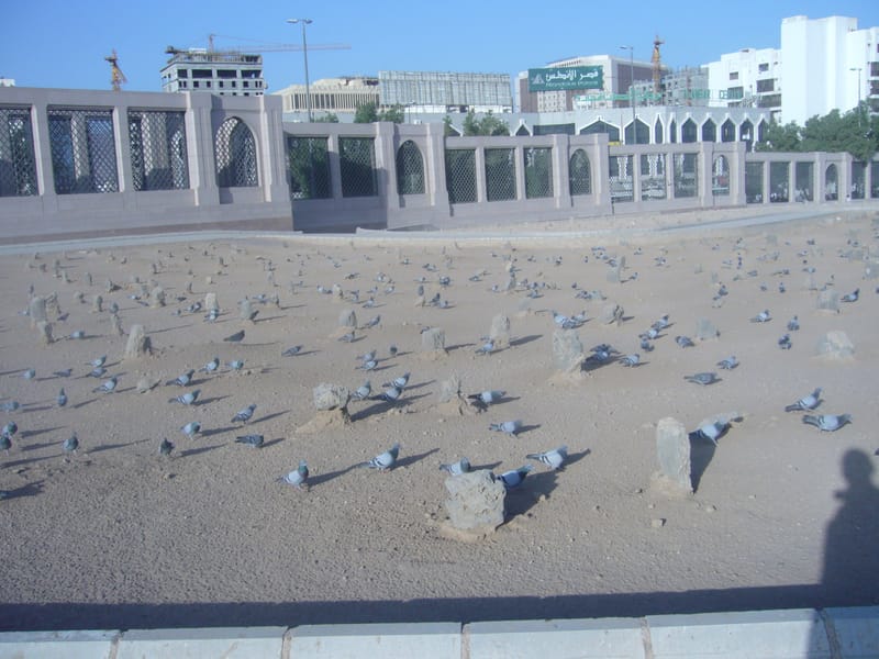 حج 2006