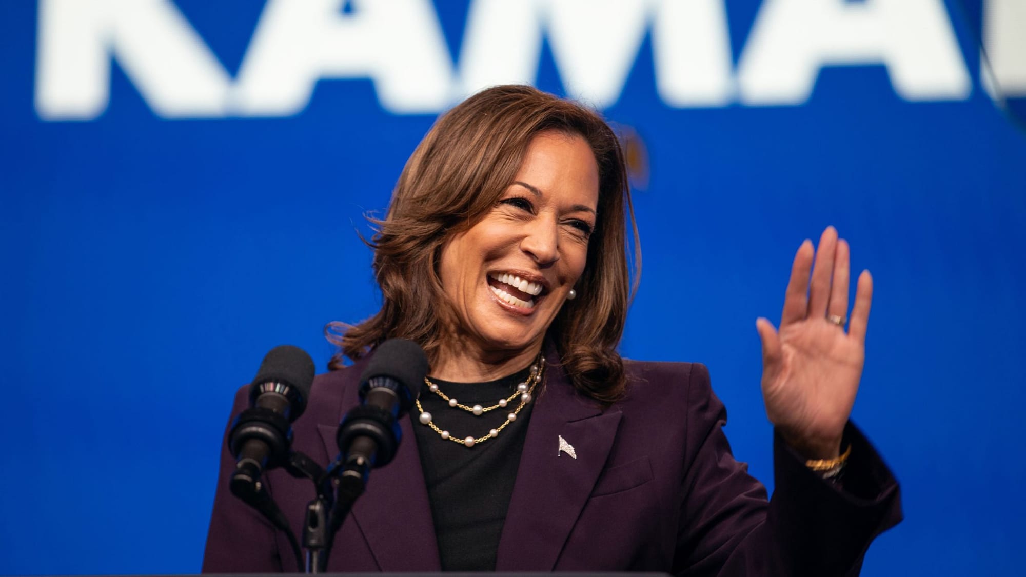 74% of LGBTQ+ Voters Support Kamala Harris, According to New Poll