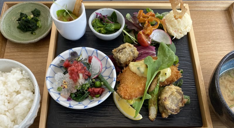 avenir town MIRAINO-MACHI