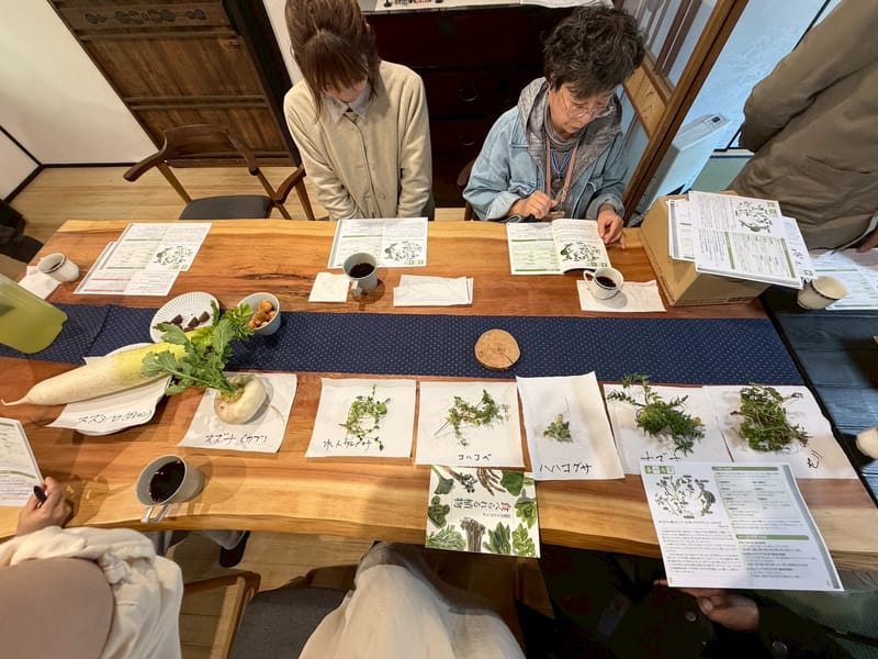 春の七草を学ぶ会