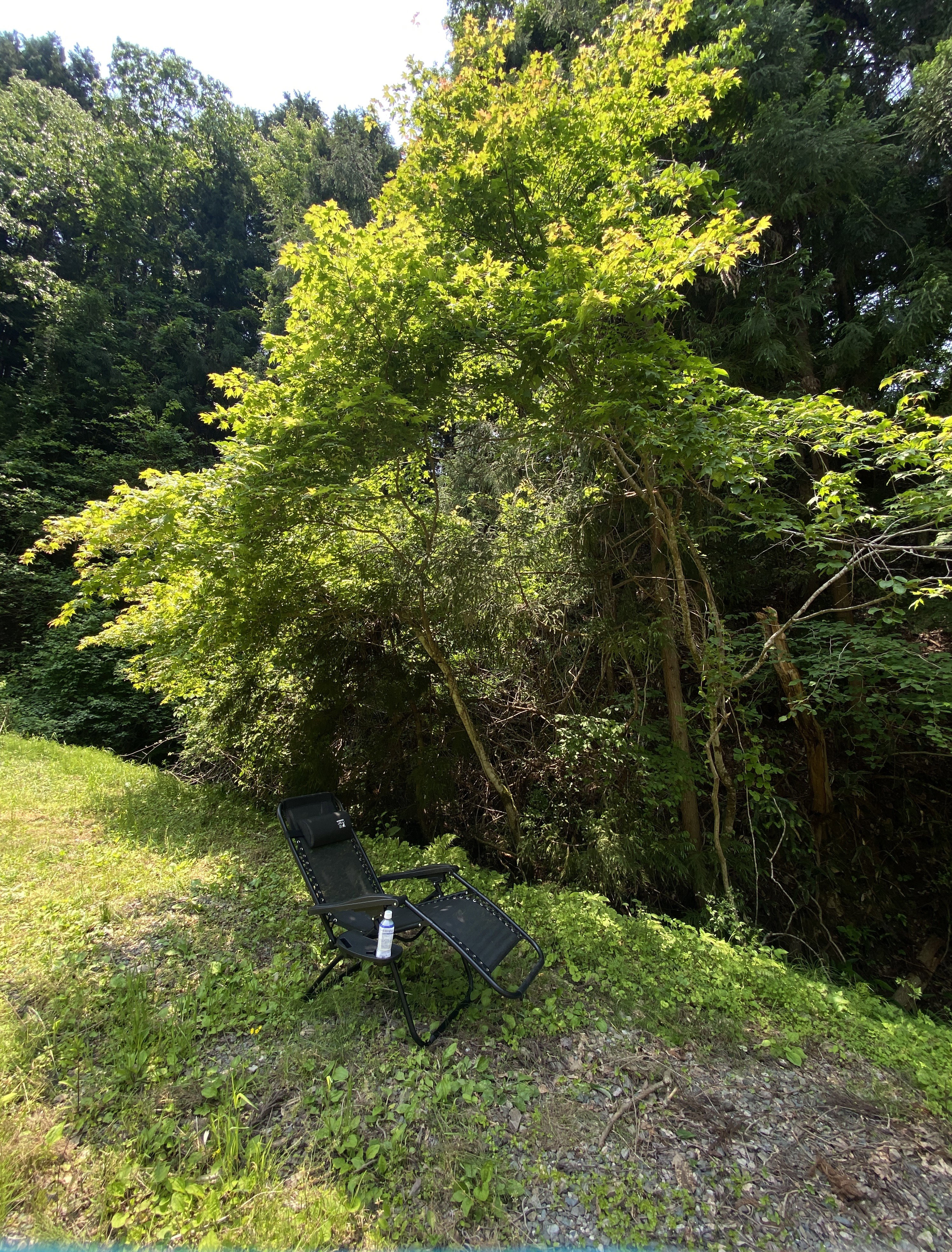 In the garden | Taking a break between the wind and the sky.