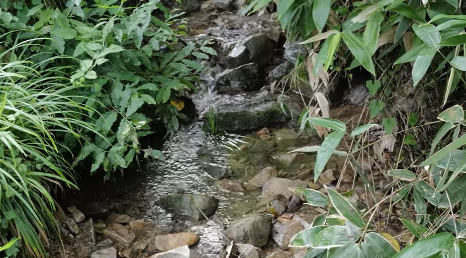 Filled with nature, it softens and harmonizes both inside and out.