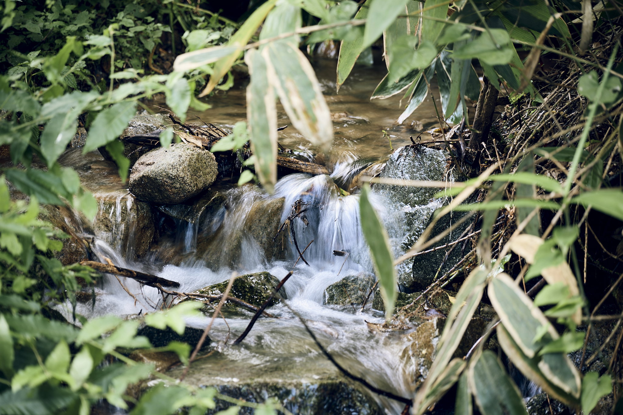 Filled with nature, it softens and harmonizes both inside and out.