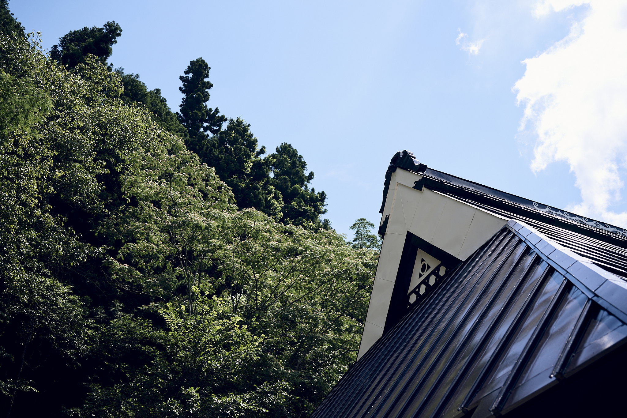 Filled with nature, it softens and harmonizes both inside and out.