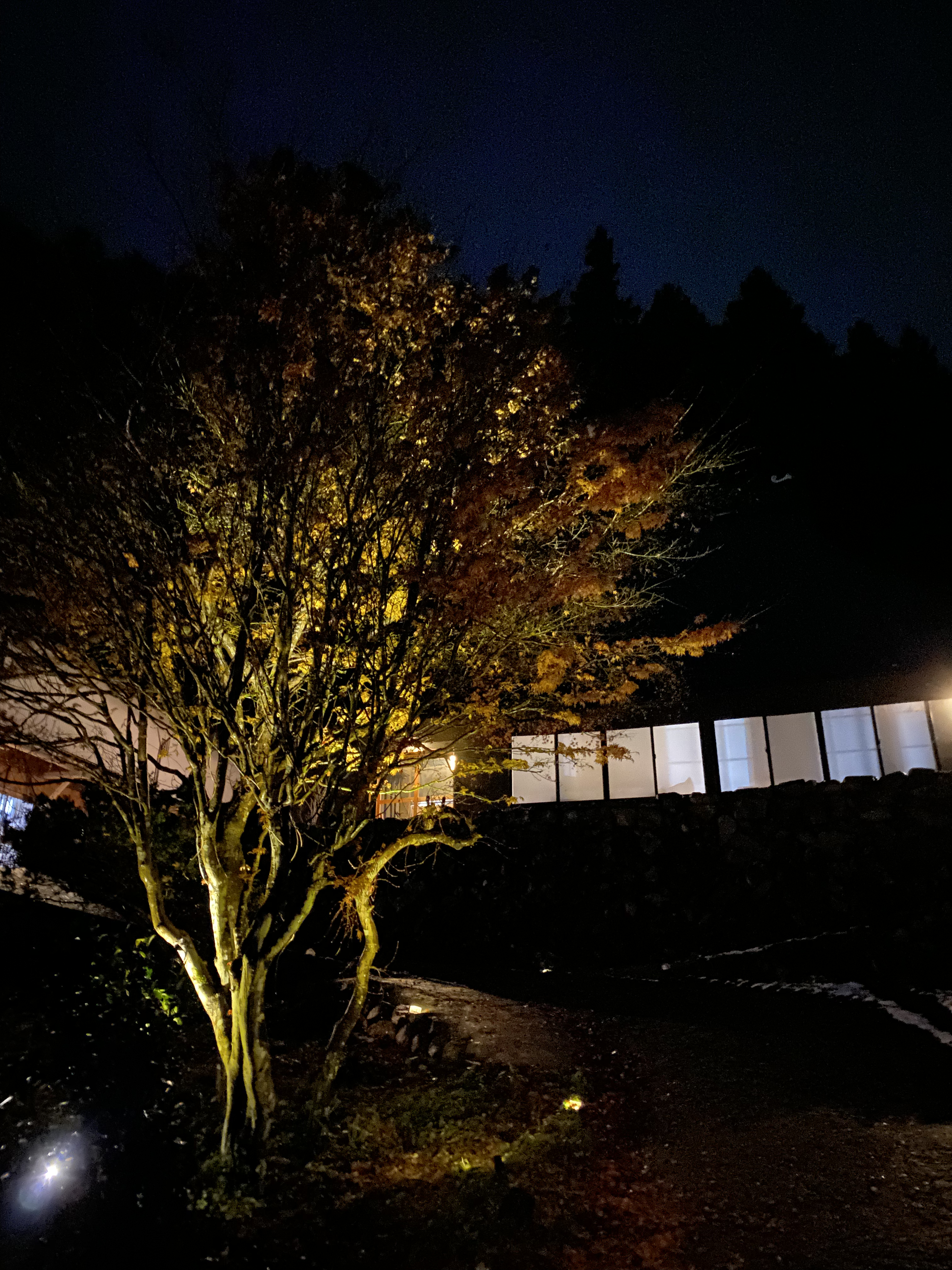 Under the stars | As the night deepens quietly