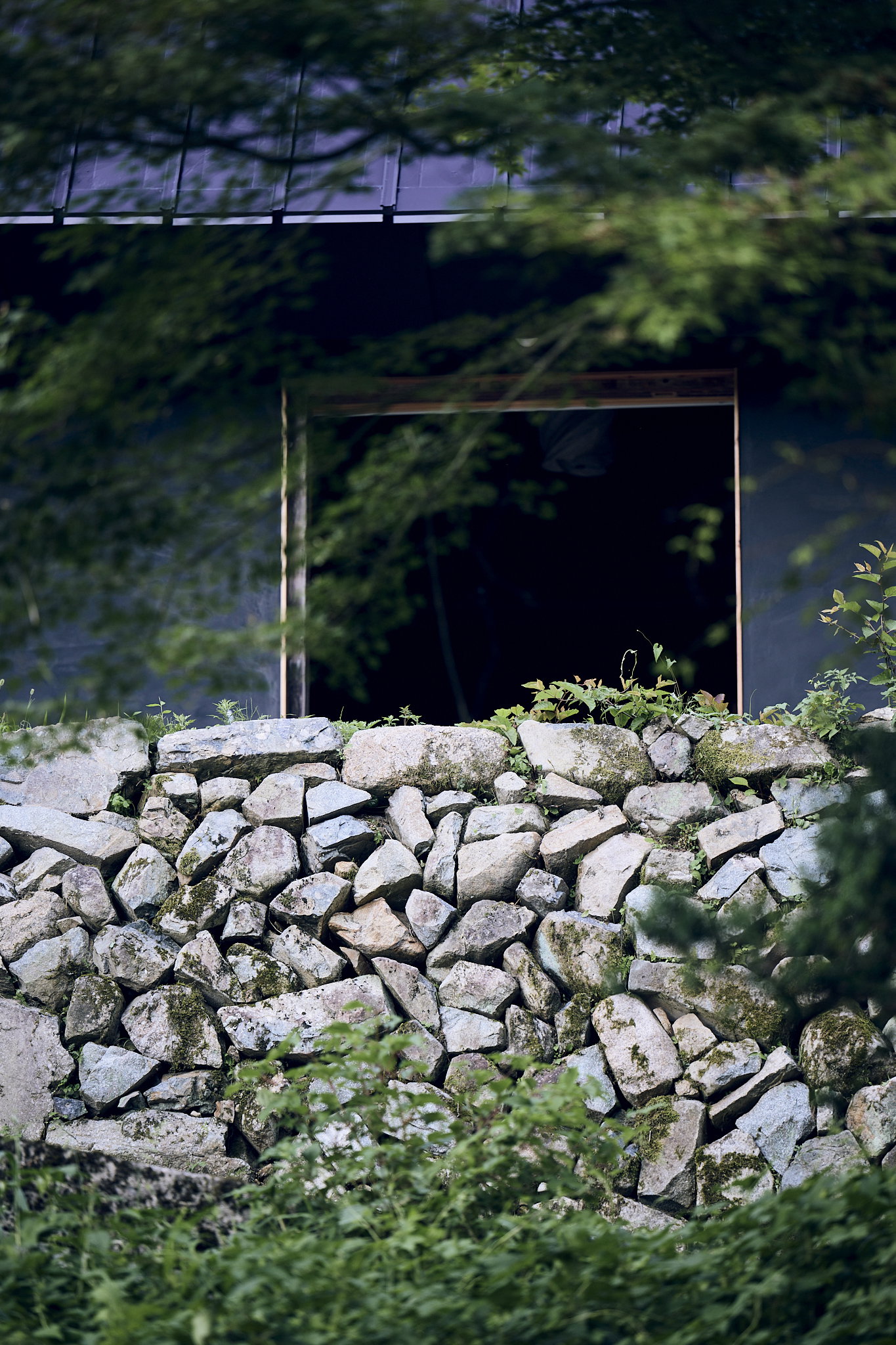 In the garden | Taking a break between the wind and the sky.