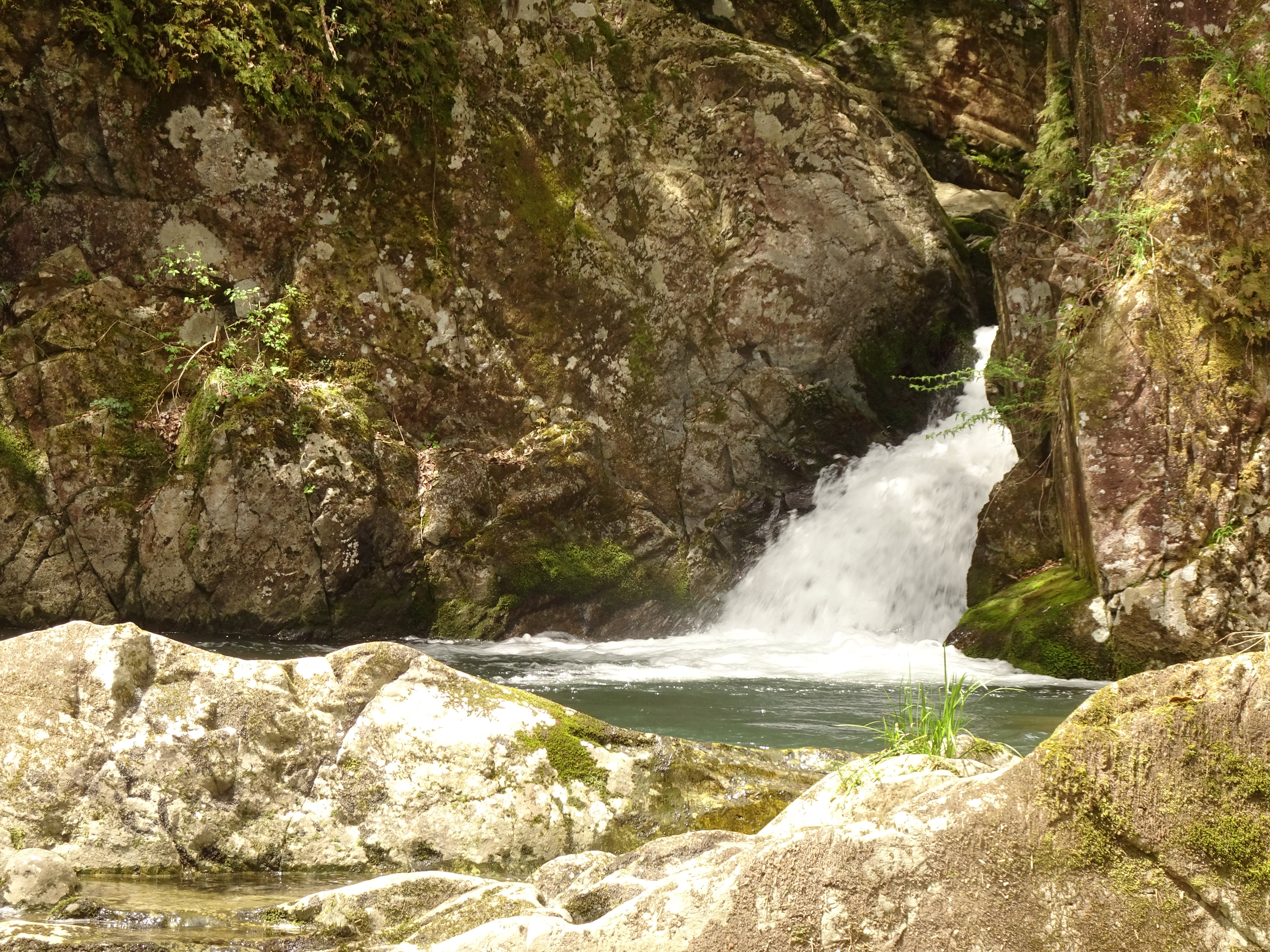 Sunagabuchi is a peaceful gorge in Soryo, surrounded by forest and shaped by a clear mountain stream. Local folklore tells of a giant serpent said to have lived here, and the story remains part of the area's cultural heritage.