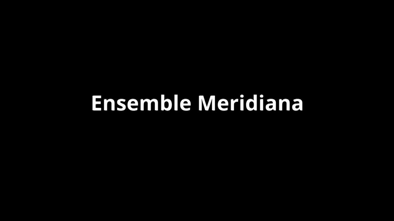 Ensemble Meridiana und Fabian Schneider