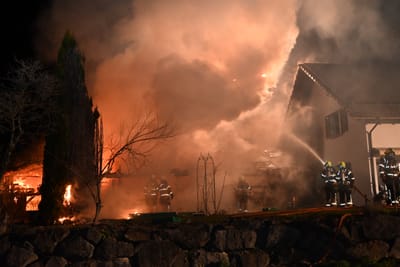 «Etwa 30 Tiere konnten gerettet werden»: In Niederhelfenschwil brannte es in einem Landwirtschaftsbetrieb – über 300 Hühner verendeten in den Flammen