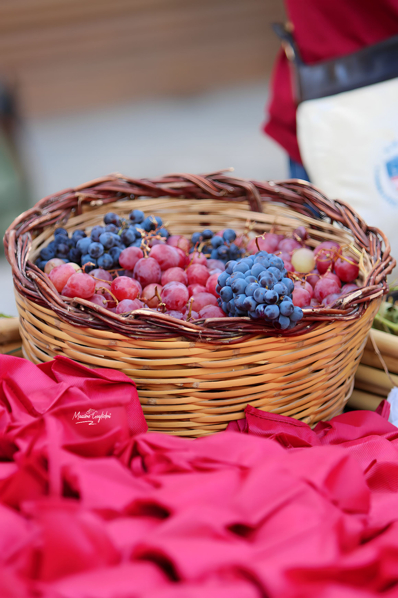 Riccia - 92° Festa dell'uva -