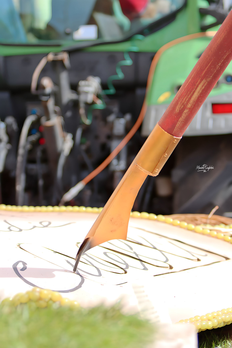 Riccia - 92° Festa dell'uva -