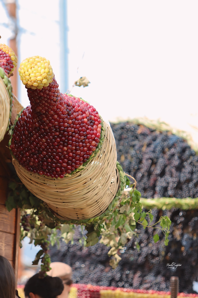 Riccia - 92° Festa dell'uva -