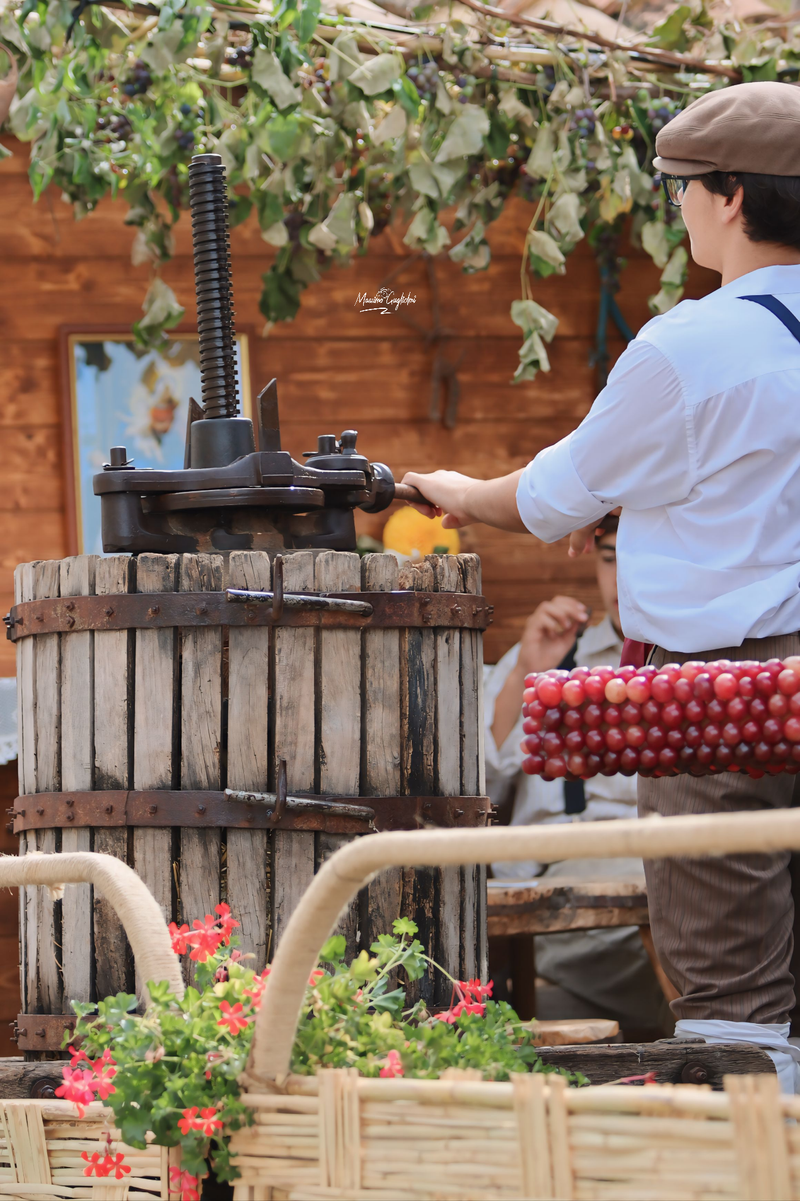 Riccia - 92° Festa dell'uva -