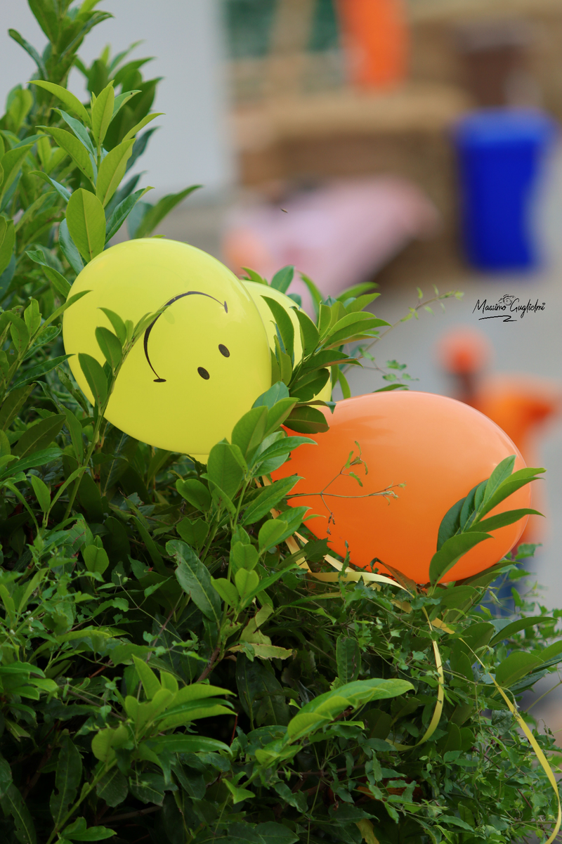 Acquaviva d'Isernia - Sagra della scurpella -