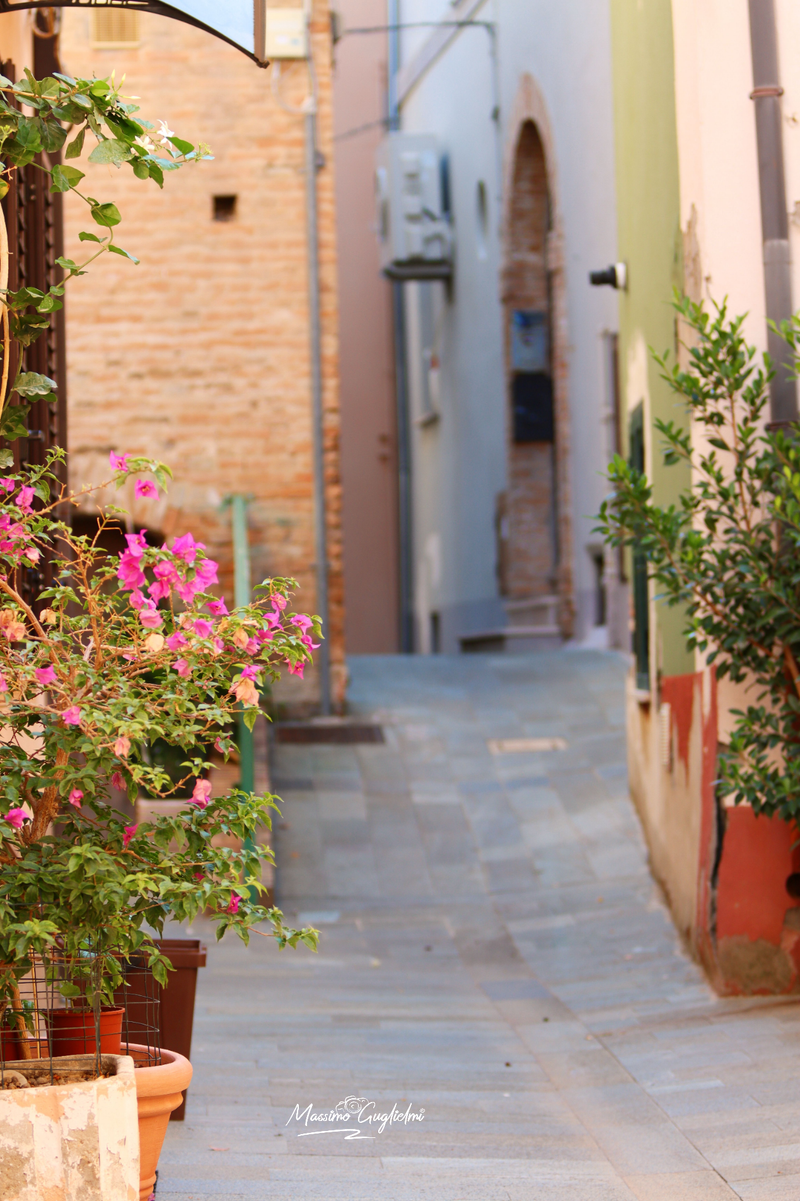 Montenero di Bisaccia