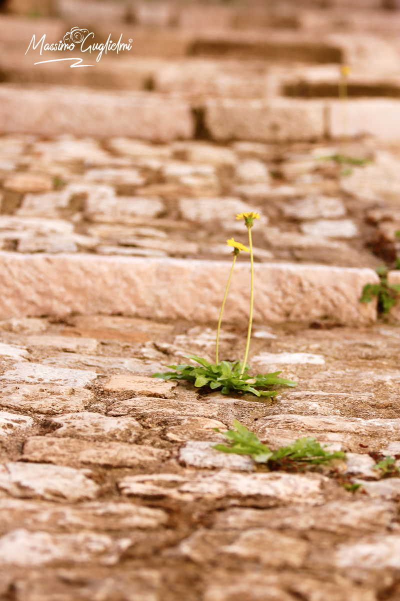 Montorio nei Frentani