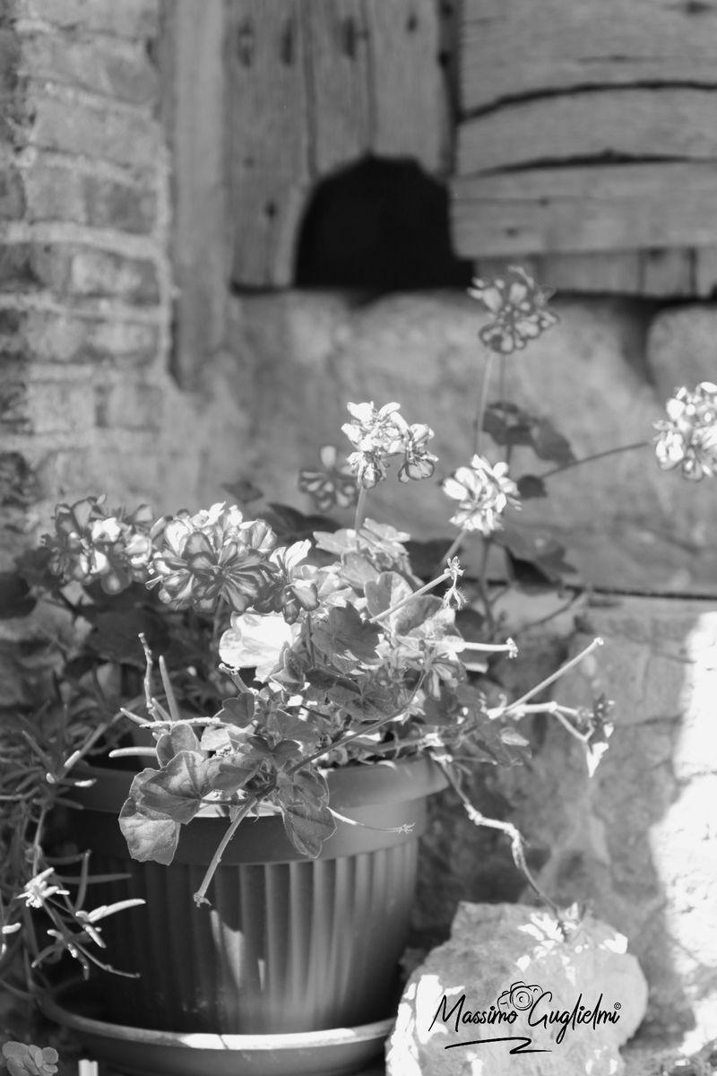 Montorio nei Frentani