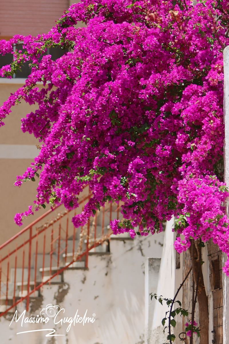 San Giacomo degli Schiavoni