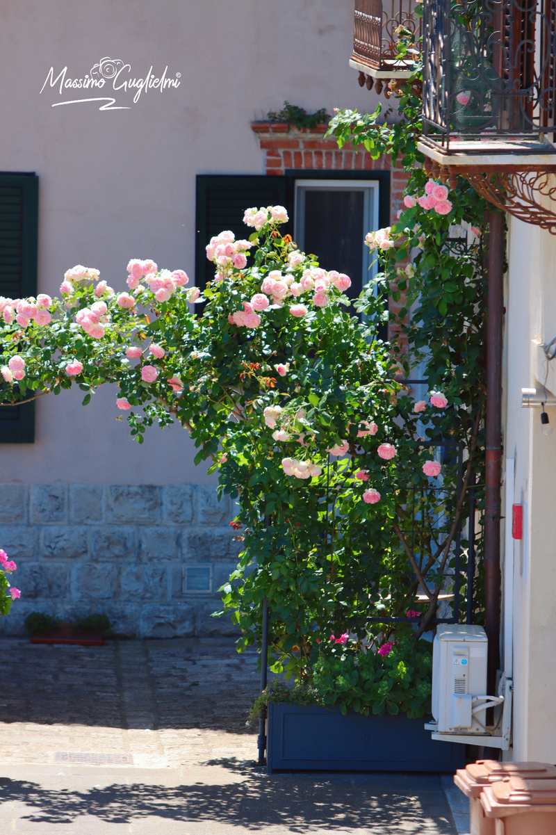 San Giuliano di Puglia
