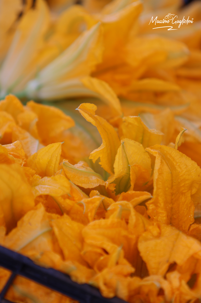 Isernia - Fiera delle cipolle