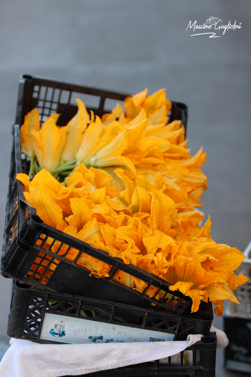 Isernia - Fiera delle cipolle