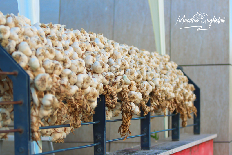 Isernia - Fiera delle cipolle