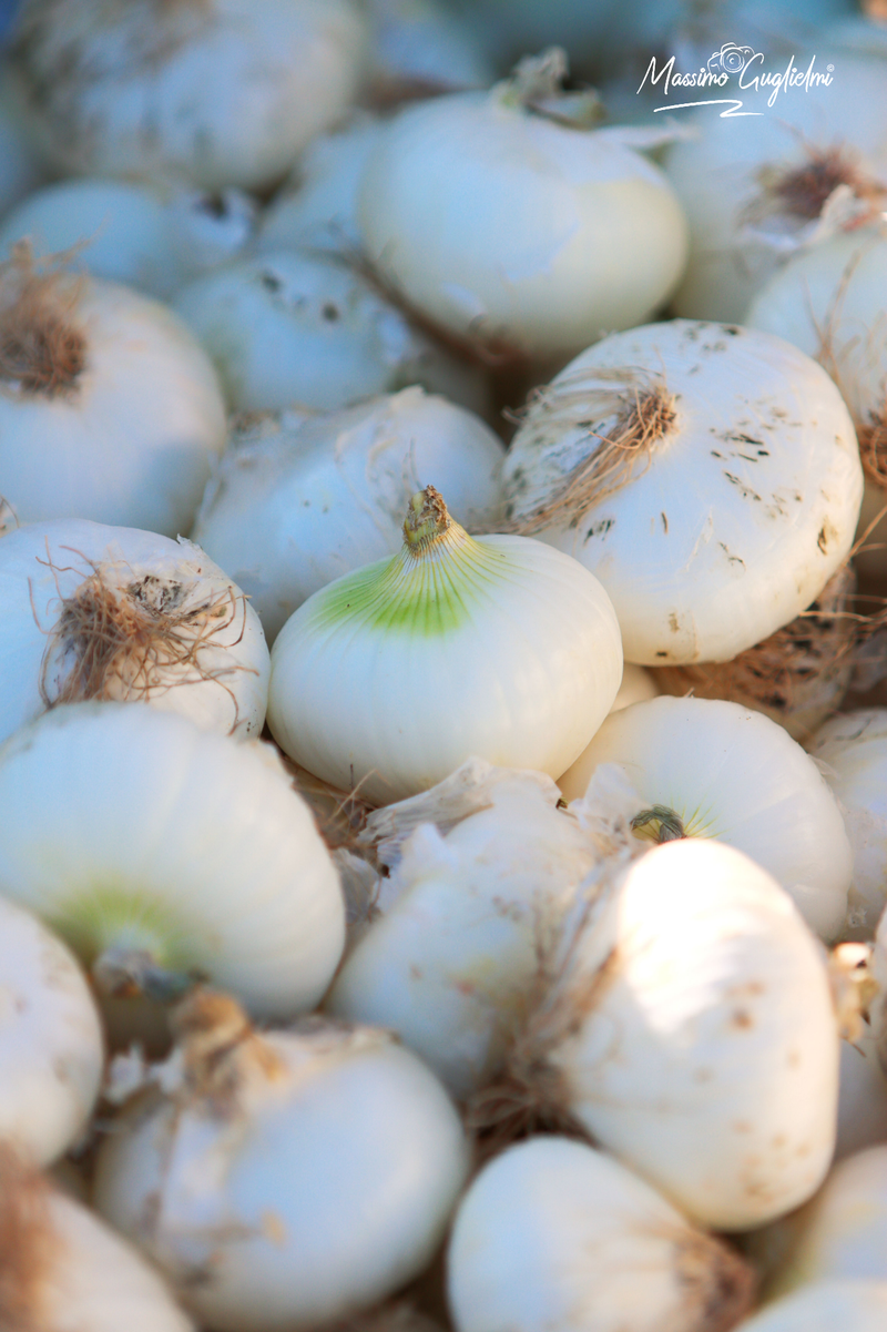 Isernia - Fiera delle cipolle