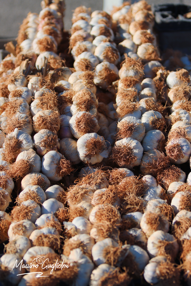 Isernia - Fiera delle cipolle