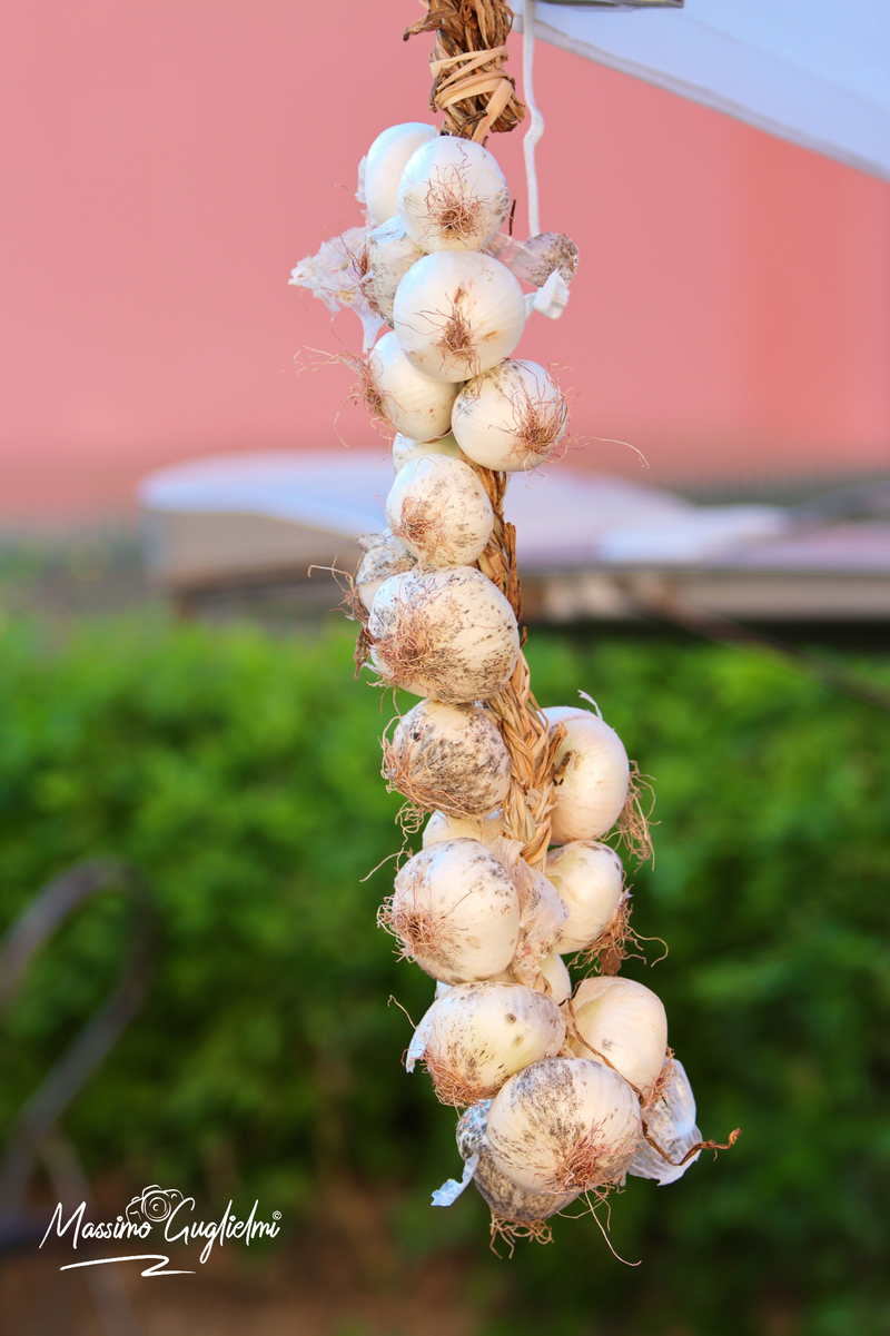 Isernia - Fiera delle cipolle
