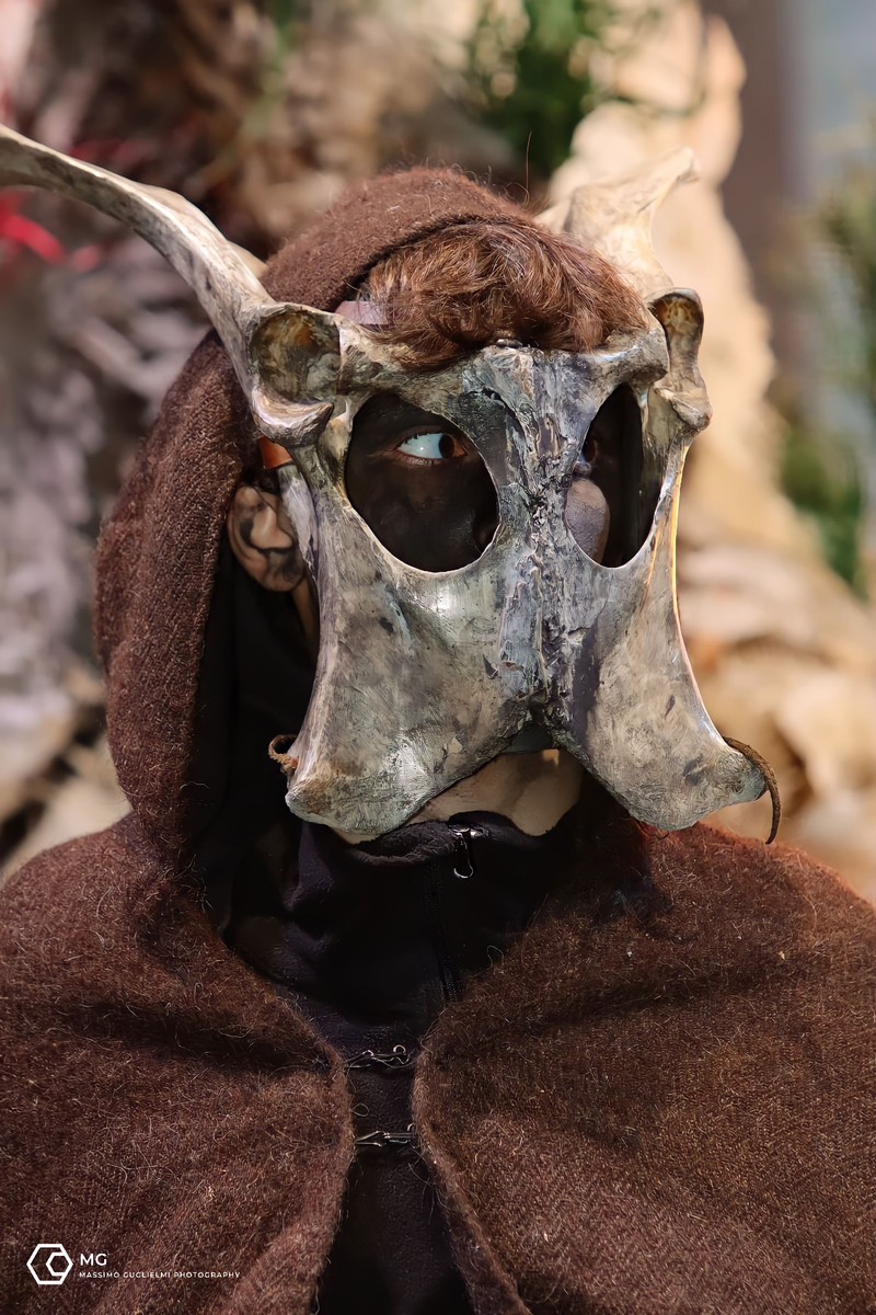 Isernia - Carnevale Europeo Maschere Zoomorfe 2024