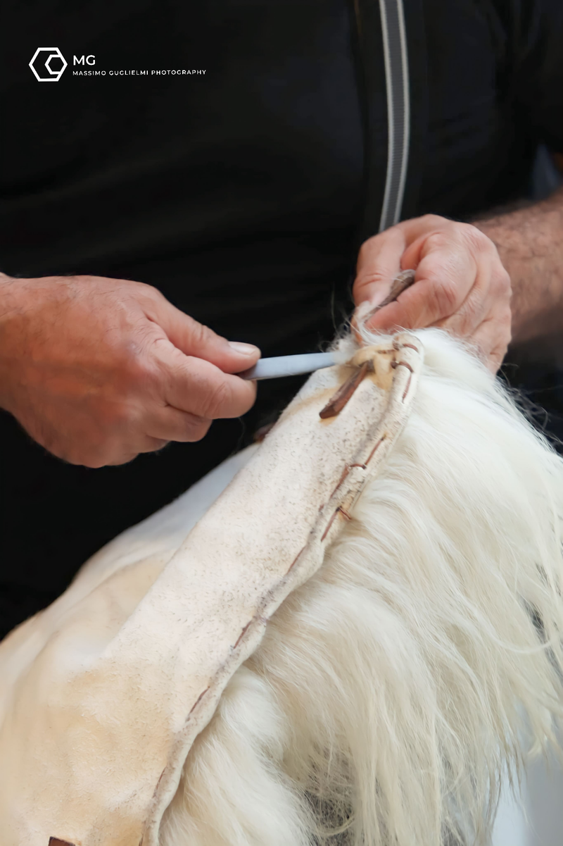 Isernia - Carnevale Europeo Maschere Zoomorfe 2024