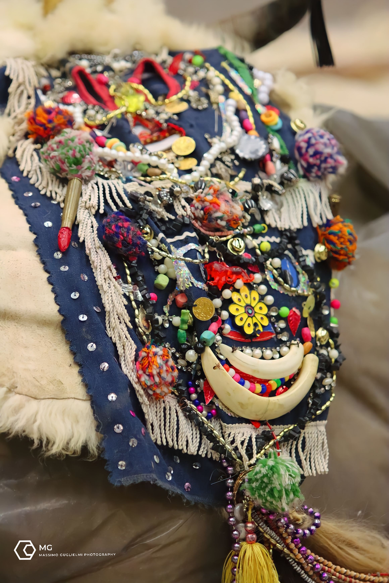 Isernia - Carnevale Europeo Maschere Zoomorfe 2024