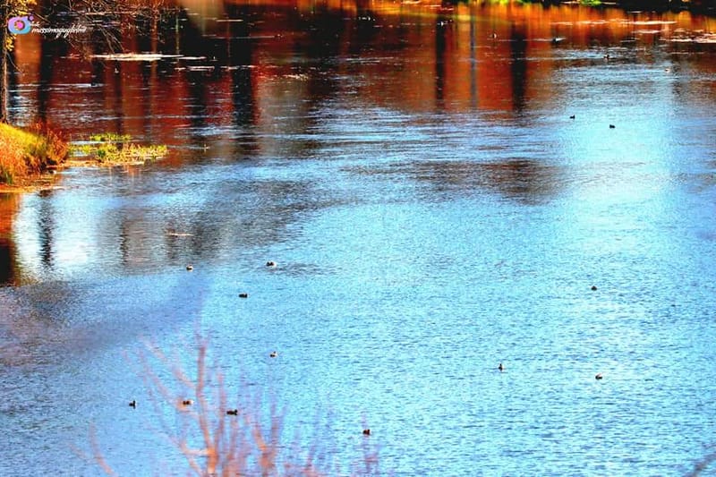 Rocchetta a Volturno