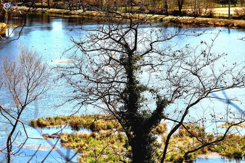 Rocchetta a Volturno