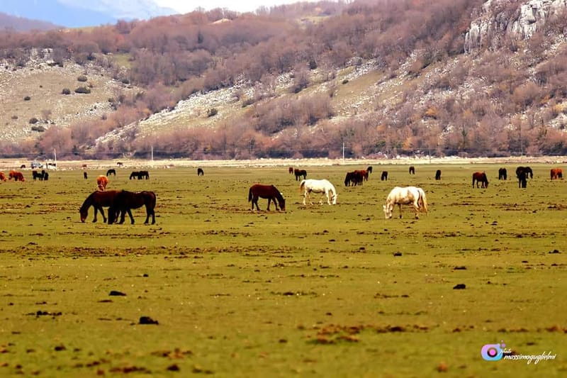 Montenero Val Cocchiara