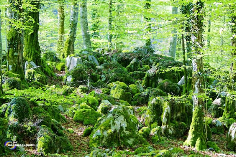 Civitanova del Sannio