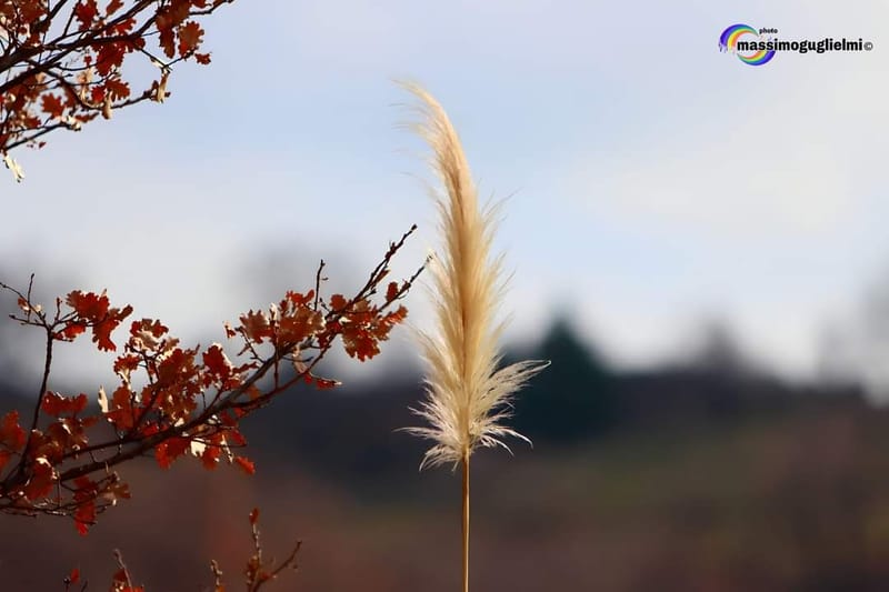Montefalcone nel Sannio