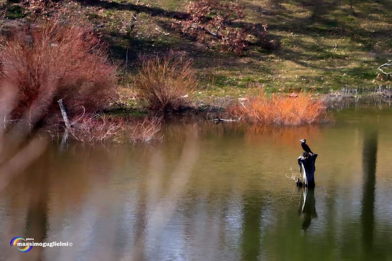 Montefalcone nel Sannio