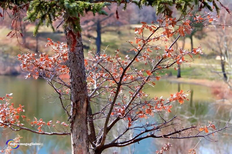 Montefalcone nel Sannio