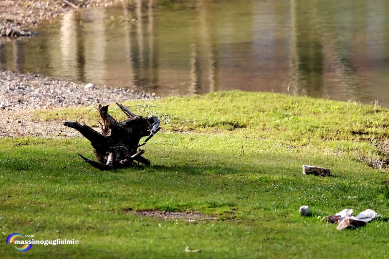 Lago Selva o lago di Cardito