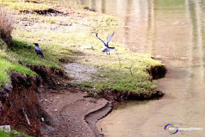 Lago Selva o lago di Cardito