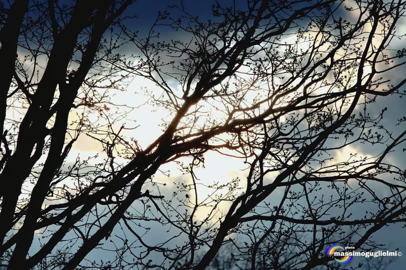 Lago Selva o lago di Cardito