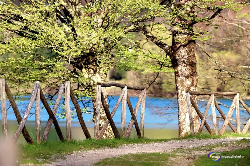 Lago Selva o lago di Cardito