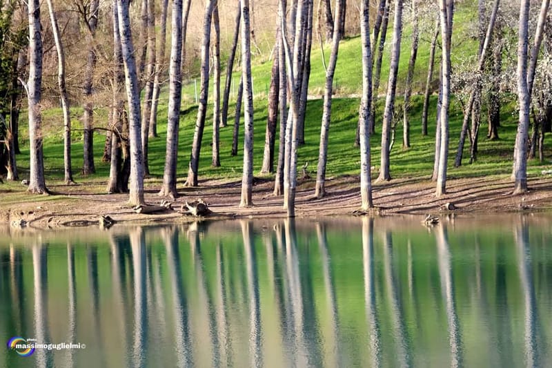 Lago Selva o lago di Cardito