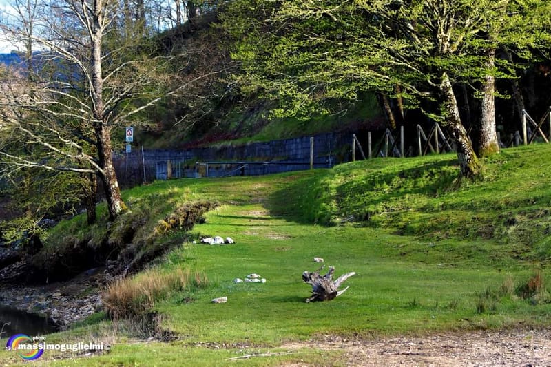 Lago Selva o lago di Cardito