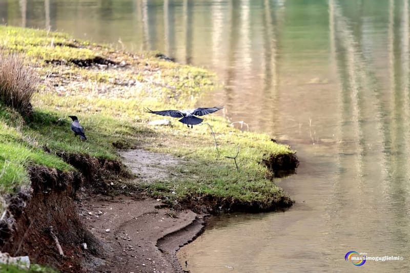 Lago Selva o lago di Cardito