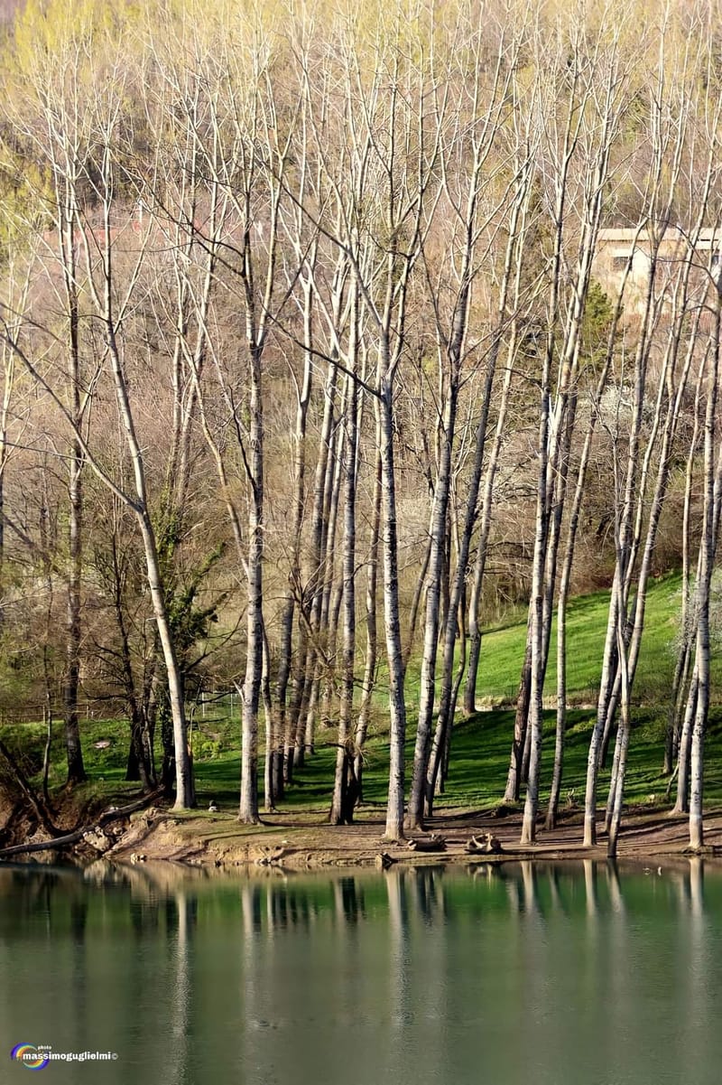 Lago Selva o lago di Cardito