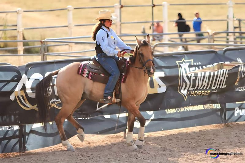 Staffoli - Ferragosto con il Rodeo -