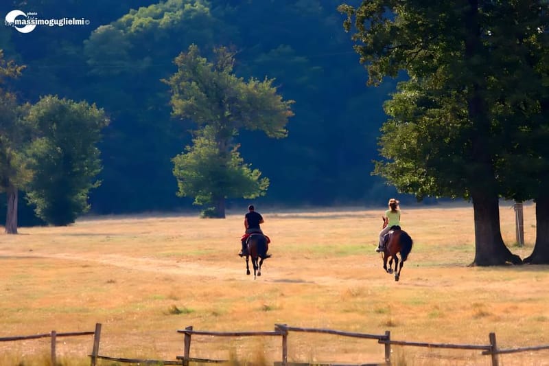 Staffoli - Ferragosto con il Rodeo -